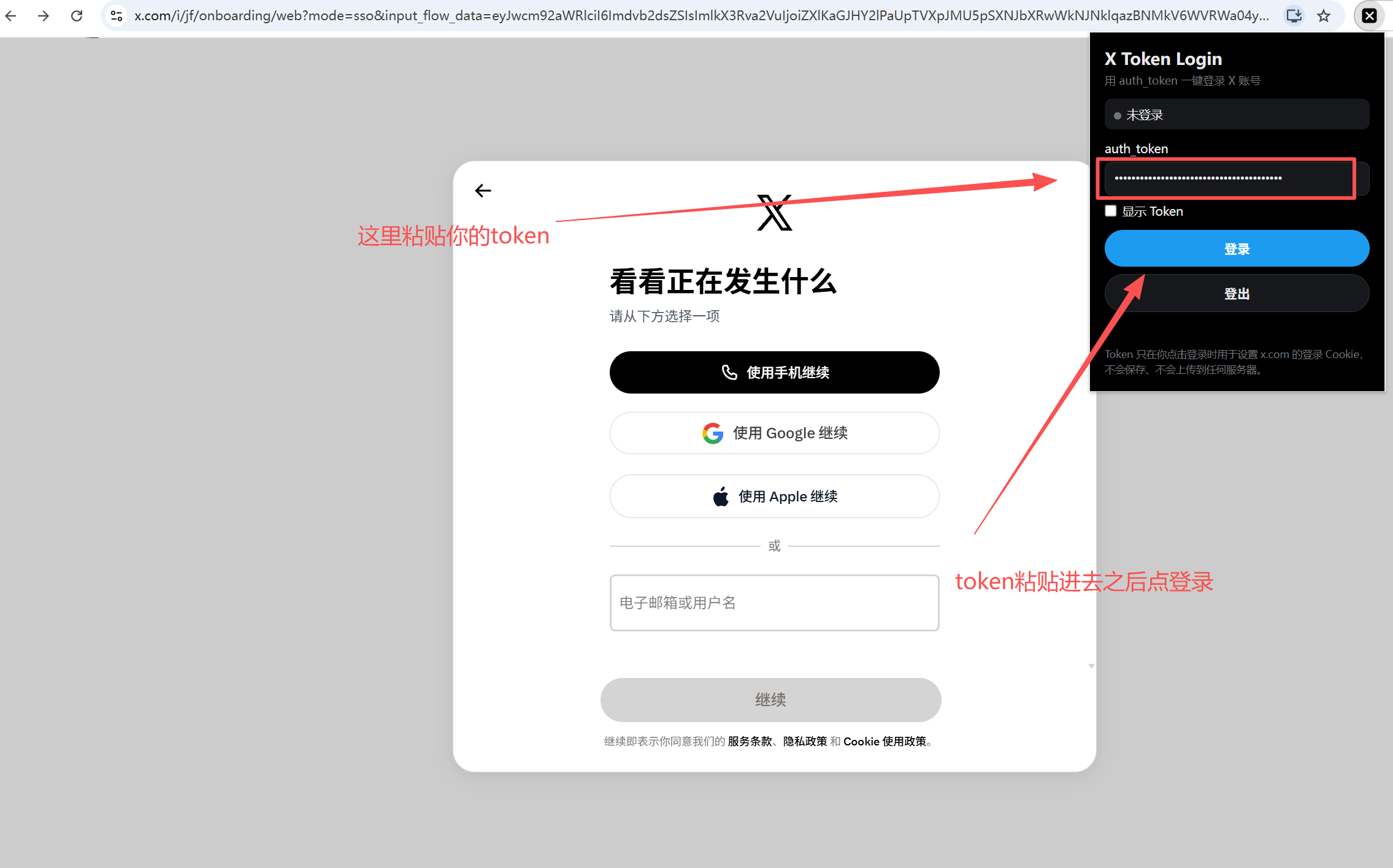 X Token Login 插件登录教程