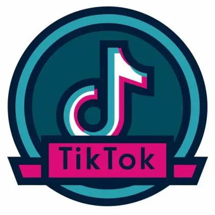tiktok Japan full year account